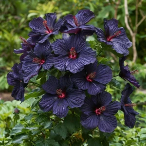 Гибискус Мэджик Момент купить по цене от 699р. в интернет-магазине «Посадика» с доставкой почтой в в Нязепетровске и по всей России – [изображение №1].